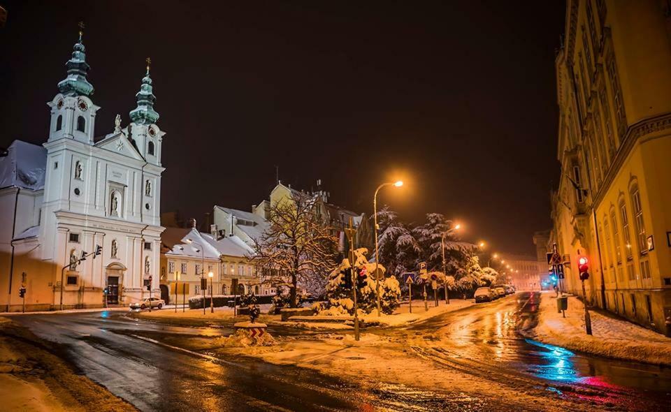 Апартаменты Belvarosi Erdesz-Lak Шопрон Экстерьер фото